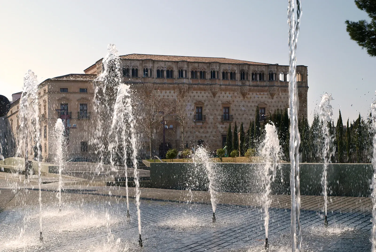 Gimnasios en Guadalajara